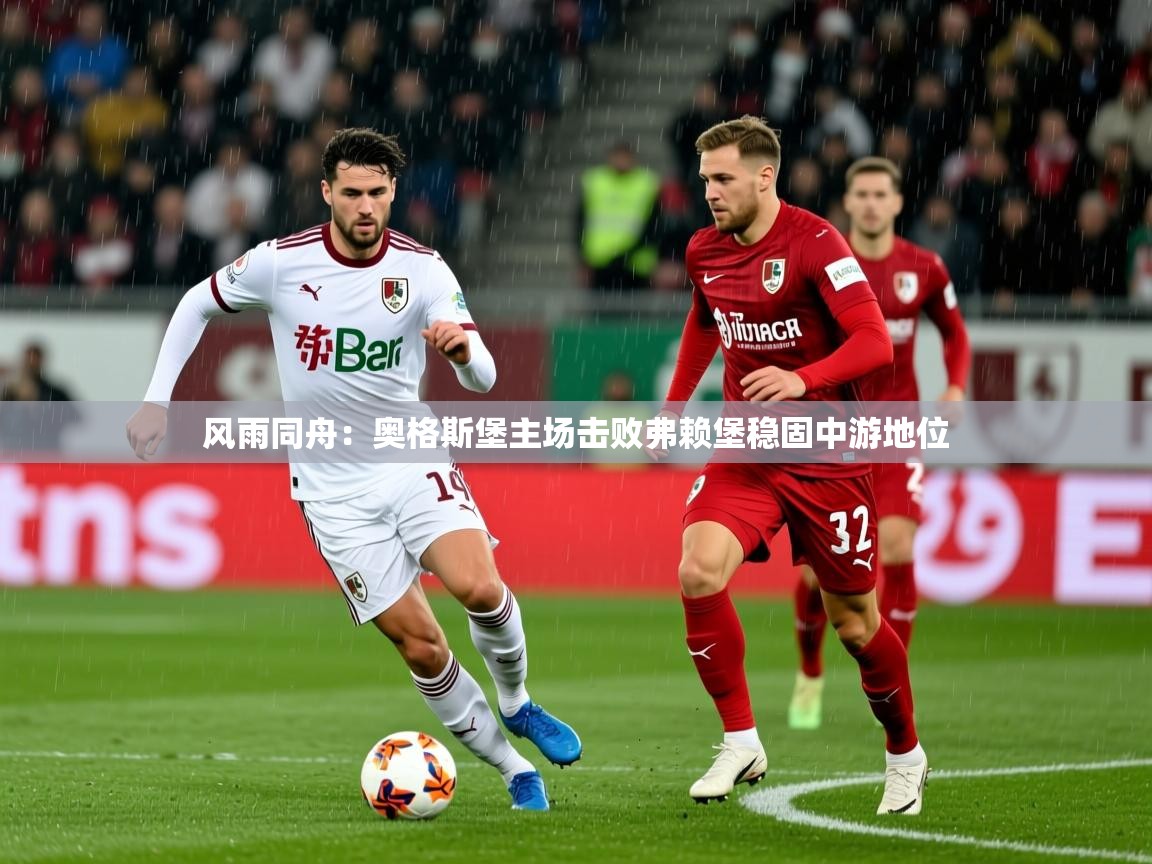 2025华体会登录最新地址风雨同舟：奥格斯堡主场击败弗赖堡稳固中游地位