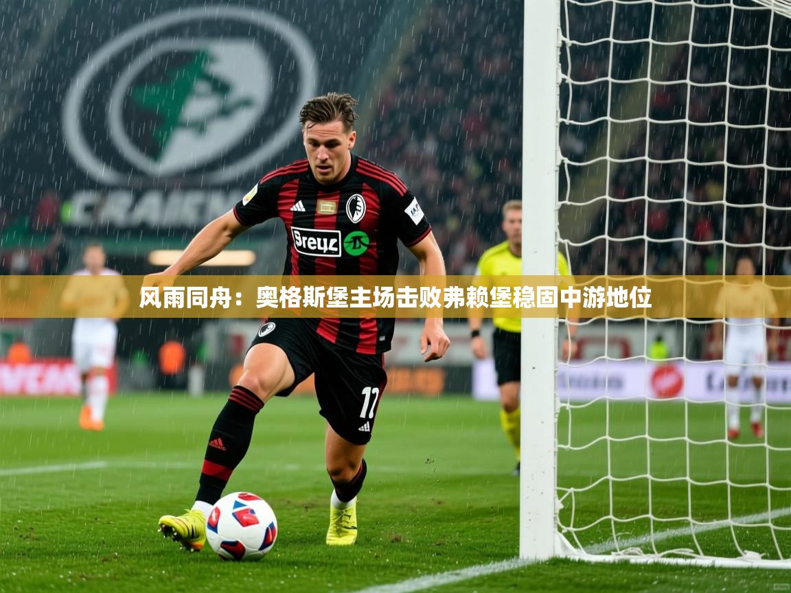 2025华体会登录最新地址风雨同舟：奥格斯堡主场击败弗赖堡稳固中游地位  第4张