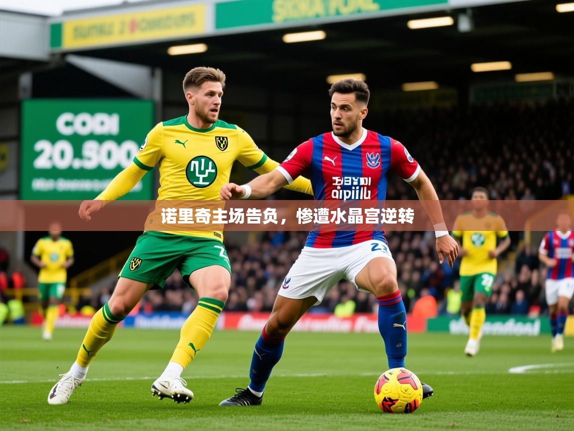 2025华体体育app下载诺里奇主场告负，惨遭水晶宫逆转