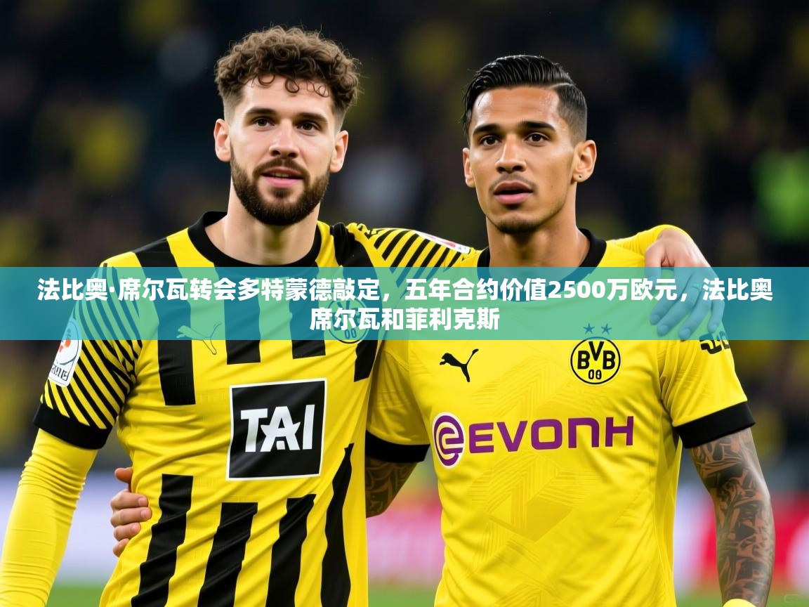 2025华体会登录法比奥·席尔瓦转会多特蒙德敲定，五年合约价值2500万欧元，法比奥席尔瓦和菲利克斯