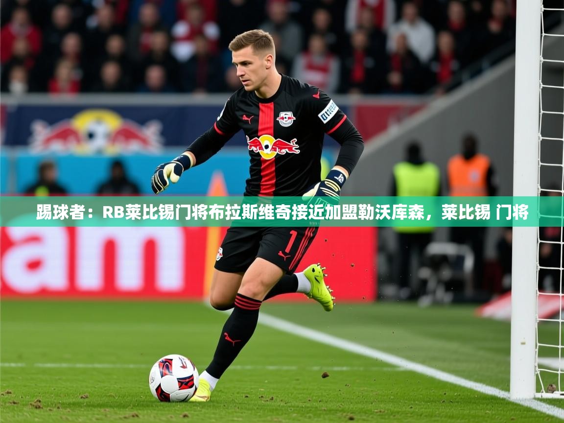 2025华体体育官网踢球者：RB莱比锡门将布拉斯维奇接近加盟勒沃库森，莱比锡 门将